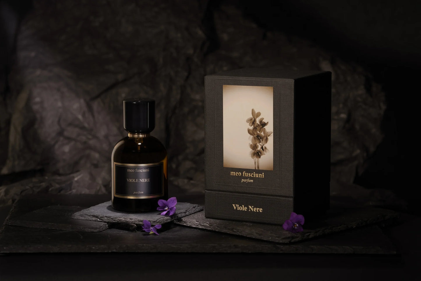 VIOLO NERE